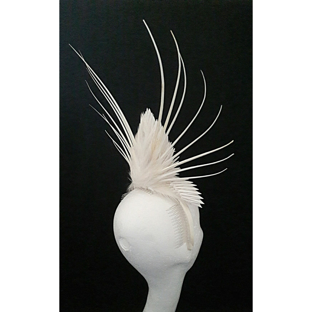 Hebe image 2