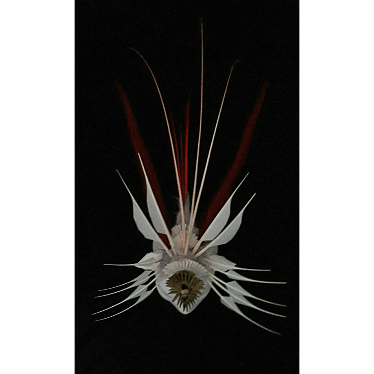 Leto image 9