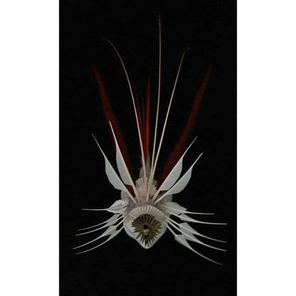 Leto image 9
